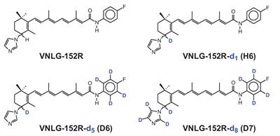 VNLG-152R and its deuterated analogs potently inhibit/repress triple/quadruple negative breast cancer of diverse racial origins in vitro and in vivo by upregulating E3 Ligase Synoviolin 1 (SYVN1) and inducing proteasomal degradation of MNK1/2